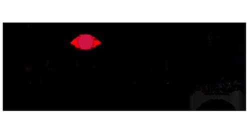 Eleanor Healthcare Group