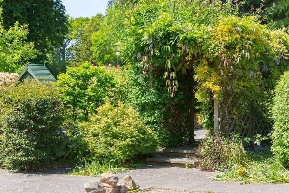 Woodland Hall Care Home - Care UK