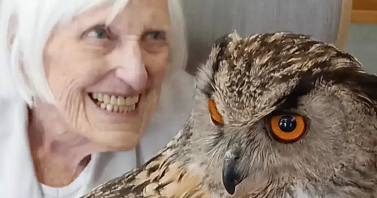 Sandiacre Court Care Centre - Nursing, Residential & Dementia Care